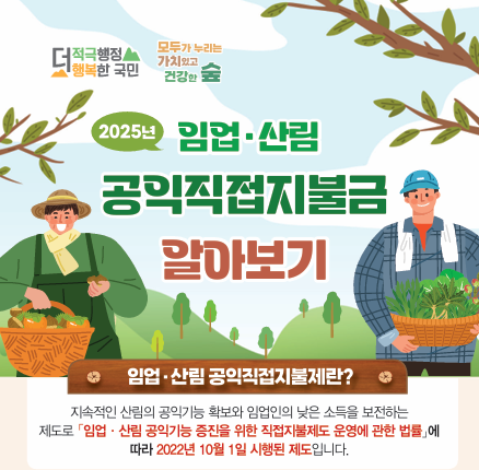 2025년 임업, 산림 공익직접직불금 알아보기