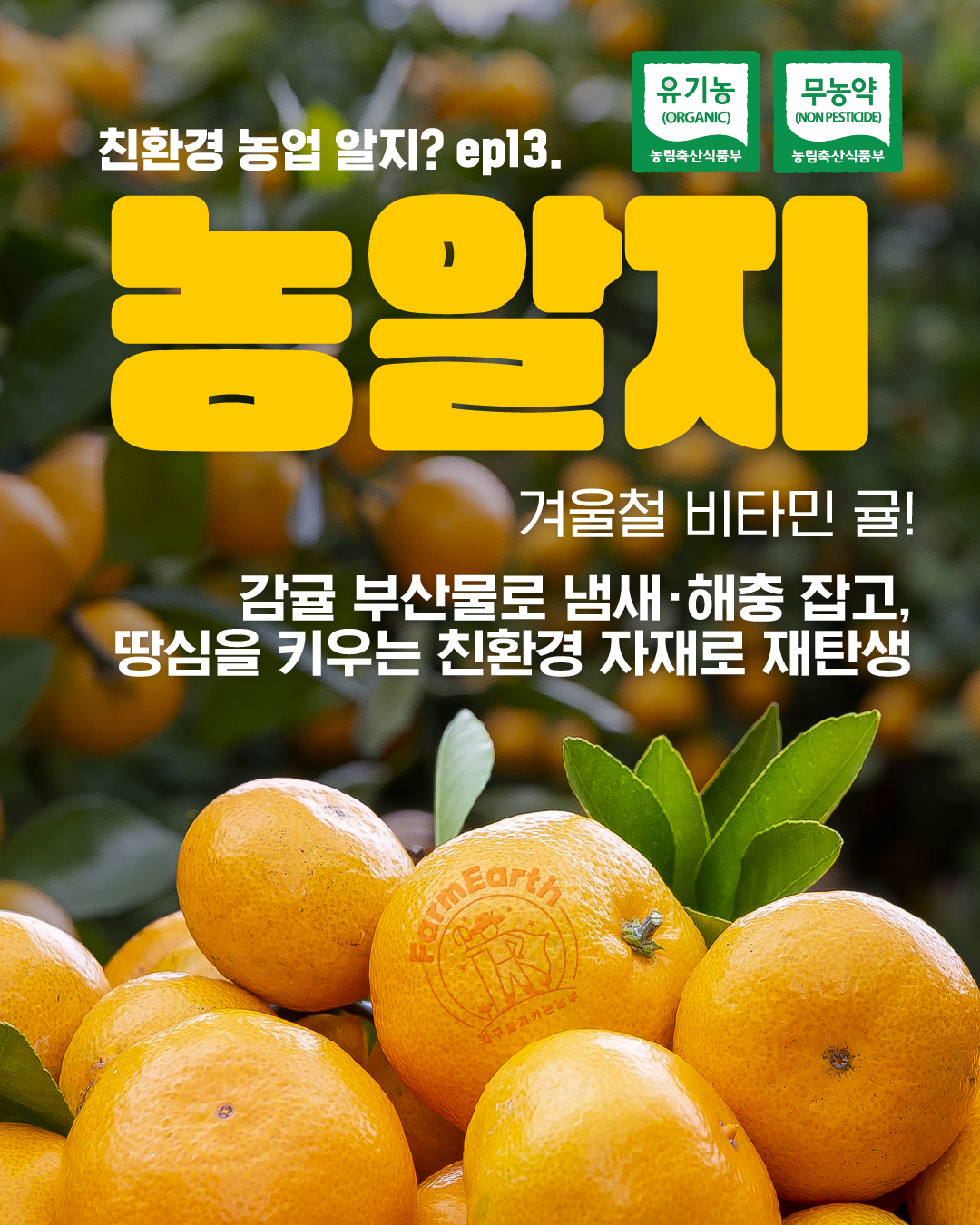 [친환경농업 알지?] ep13. 겨울철 비타민 귤! 친환경 자재로 재탄생!